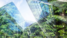 BITC is calling for more investment into removing carbon from the atmosphere to account for current unavoidable emissions